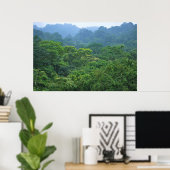 Rainforest canopa panorama poster (Thuiskantoor)