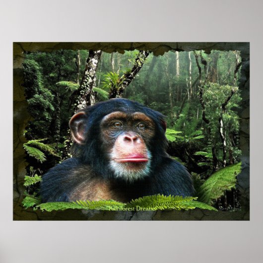 "RAINFOREST DREAMS II" Chimpansee Art Poster (Voorkant)