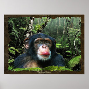 "RAINFOREST DREAMS II" Chimpanzee Art Poster