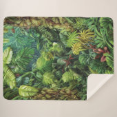 Rainforest Sherpa Blanket Sherpa Deken (Voorkant (horizontaal))