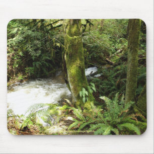 Rainforest Stream Wilderness Natuur Foto Mousepad Muismat