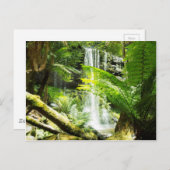 Rainforest Waterfall Briefkaart (Voorkant / Achterkant)