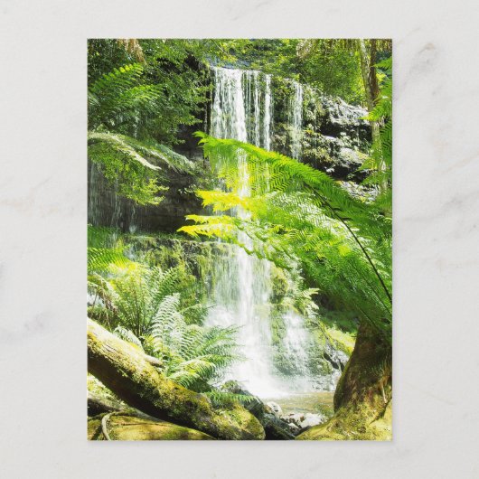 Rainforest Waterfall Briefkaart (Voorkant)