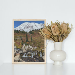 Rainier en Edith Creek monteren Foto Afdruk
