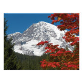 Rainier- en herfst-bladeren monteren foto afdruk (Voorkant)