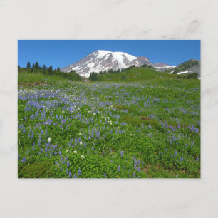 Rainier monteren met Paarse lupinen Briefkaart
