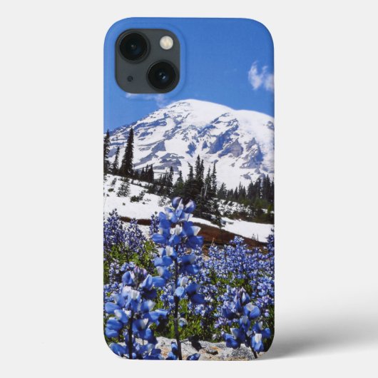 Rainier monteren op Paradise Point Case-Mate iPhone Case (Achterkant)