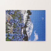 Rainier monteren op Paradise Point Legpuzzel (Horizontaal)