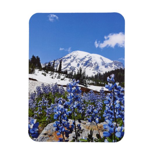 Rainier monteren op Paradise Point Magneet (Verticaal)