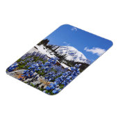 Rainier monteren op Paradise Point Magneet (Linkerzijde)