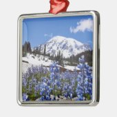 Rainier monteren op Paradise Point Metalen Ornament (Links)