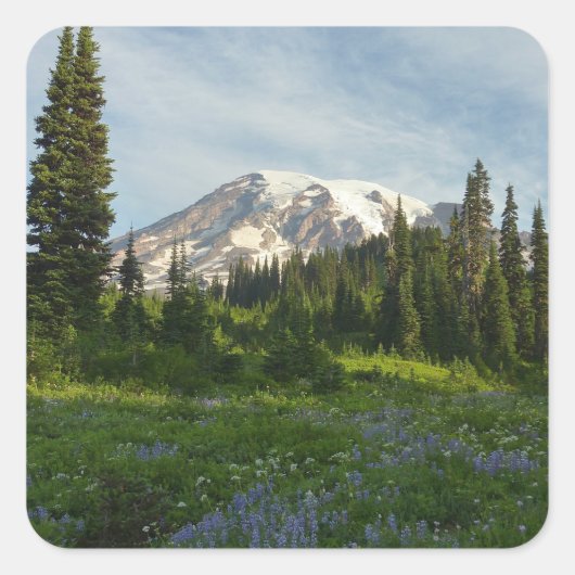 Rainier Morning Light Vierkante Sticker (Voorkant)