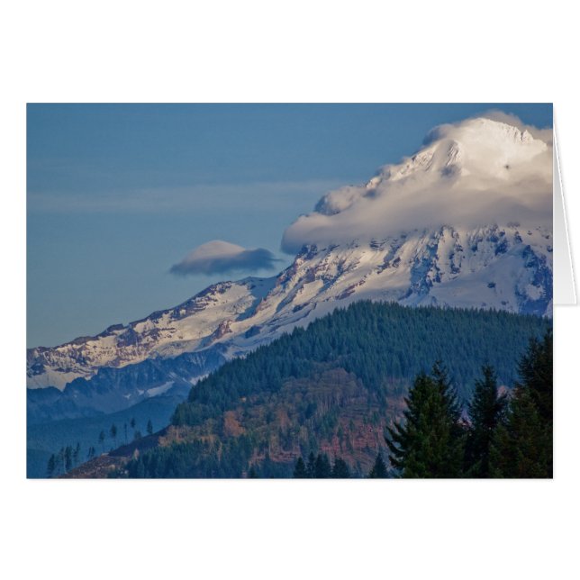 Rainier P5002 (Voorkant Horizontaal)