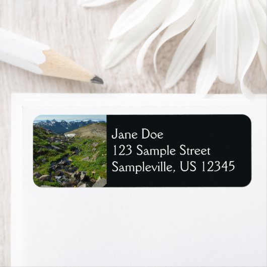 Rainier Panorama Point Etiket (Insitu)