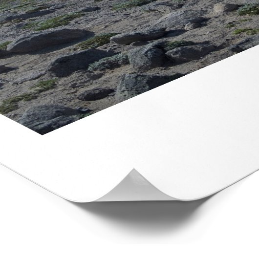 Rainier Panorama Poster (Hoek)