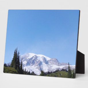 Rainier PDSC213 Fotoplaat