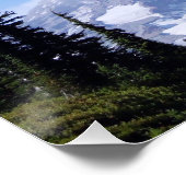 Rainier PDSC213 Perfect Poster (Hoek)
