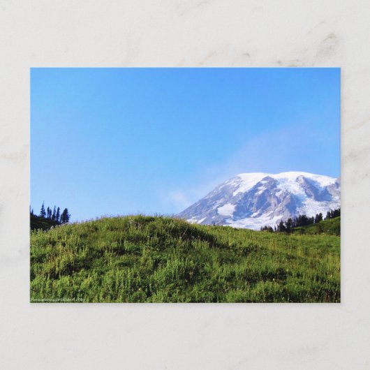 Rainier PDSC230 Briefkaart (Voorkant)
