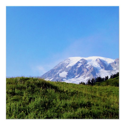 Rainier PDSC230 Perfect Poster (Voorkant)