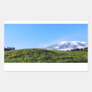 Rainier PDSC230 Rechthoekige Sticker