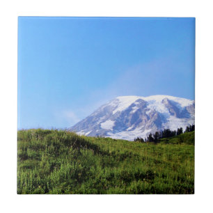 Rainier PDSC230 Tegeltje