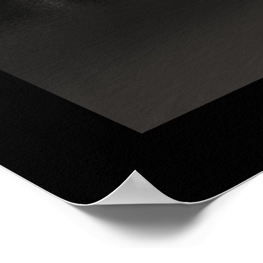 Rainier Poster (Hoek)