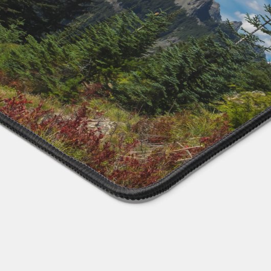 Rainier resplendissant (Coin)