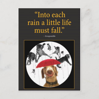 Raining Cats! Briefkaart