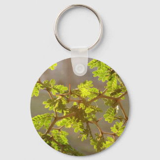 Raintree Branches Bonsai Foto Sleutelhanger