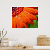 Rainy Daisy Poster (Keuken)