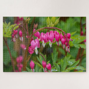 Rainy Day Bleeding Heart Legpuzzel