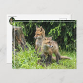 Rainy Day Friends Briefkaart (Voorkant / Achterkant)