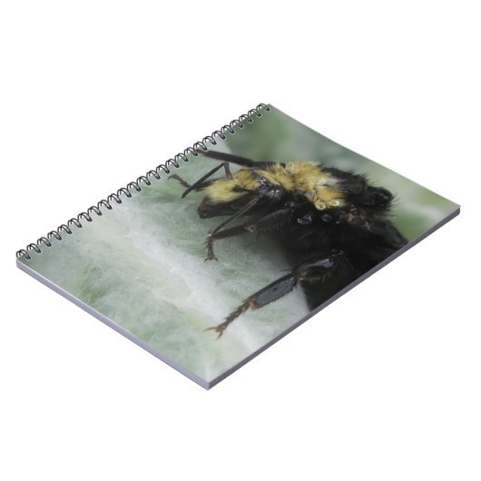 Rainy Days Notitieboek (Linkerzijde)