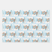 Rainy Daze Teddy Bear Inpakpapier Vel (Voorkant)