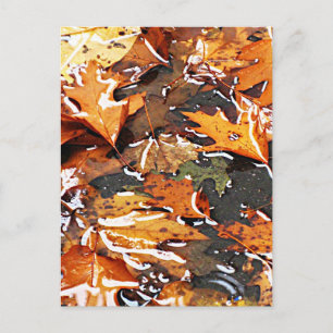 Rainy Fall Leaves Briefkaart