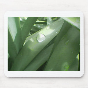 Rainy Spring Muismat