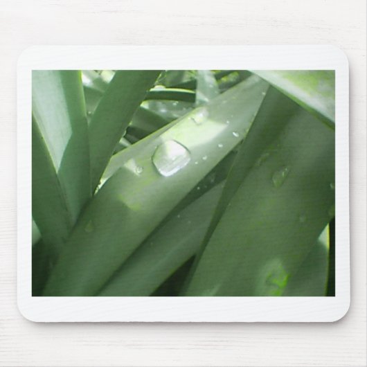 Rainy Spring Muismat (Voorkant)