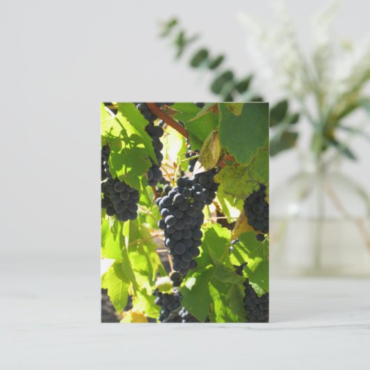 Raisins - Carte postale (Debout devant)