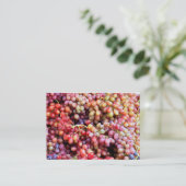 Raisins et carte de visite de vin (Debout devant)