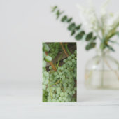 Raisins sur la carte bilatérale de profil de vigne (Debout devant)