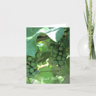 Raisins sur les vignes Merci