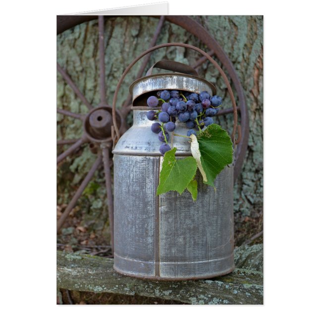 Raisins vintages (Devant)