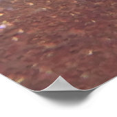 Raja Ampat Wobbegong Poster (Hoek)