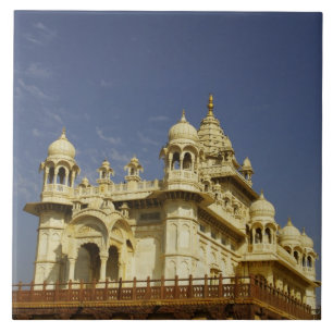 Rajasthan, India Een vrouw die staat en actief is Tegeltje