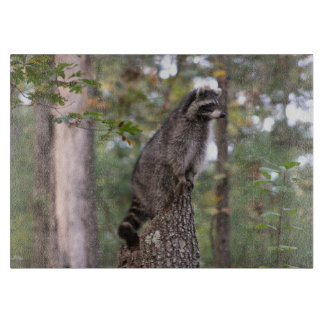 Raket op krabber snijplank