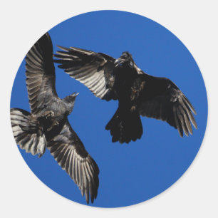 raket ronde sticker