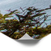 Raketjes en waterafdruk, waardevol Poster papier ( (Hoek)