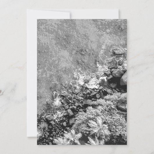 Rakken in het zee, boven uitzicht 2 bedankkaart (Achterkant)