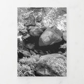 Rakken in het zee, boven uitzicht 2 drieluik wenskaart (Cover)