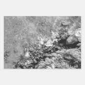 Rakken in het zee, boven uitzicht 2 inpakpapier vel (Voorkant 3)